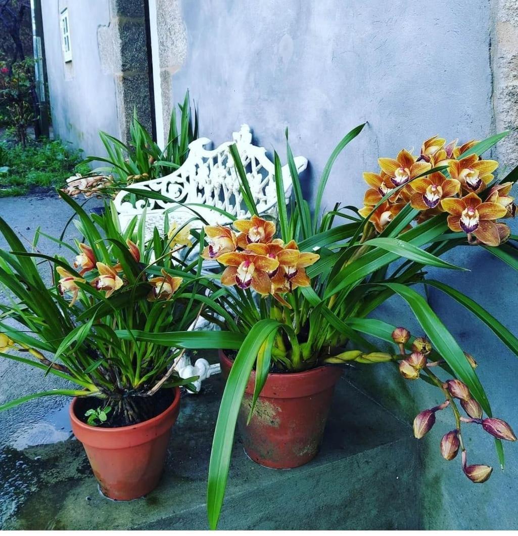 Ferienwohnung A Casa Da Parrula Santiago de Compostela Exterior foto