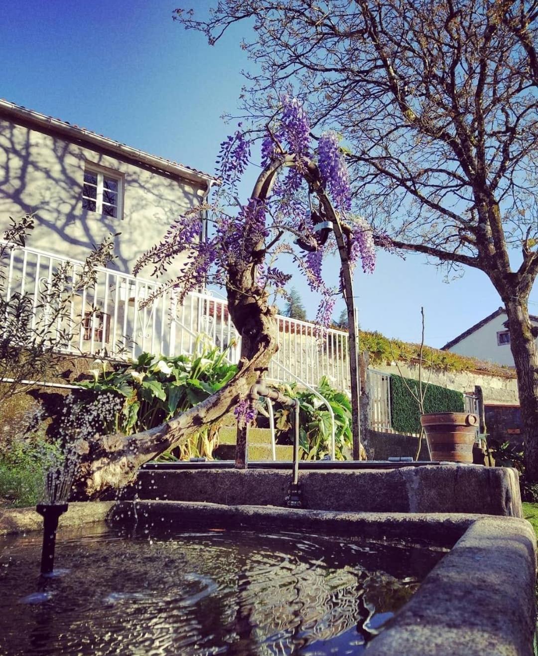 Ferienwohnung A Casa Da Parrula Santiago de Compostela Exterior foto